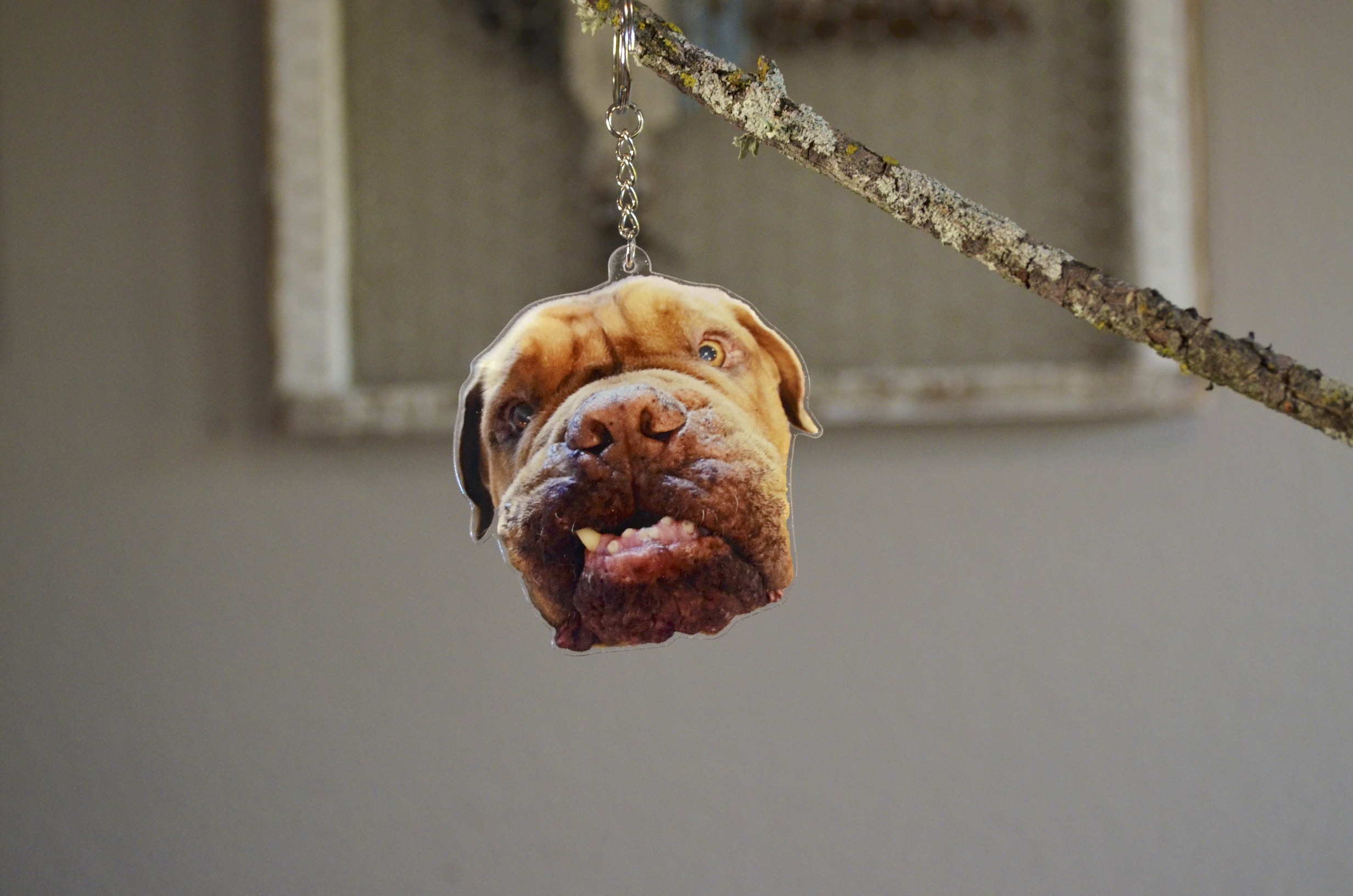 Key Chains ** DONKEY **