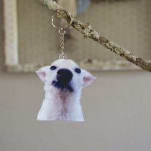 Key Chains ** BENNY **