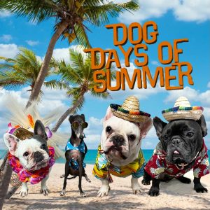 Post card - Dog Days of Summer