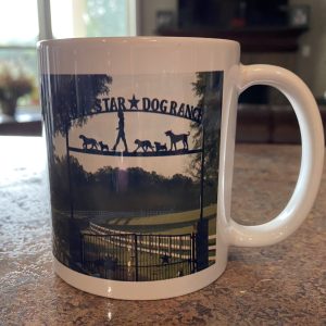 LSDR Mugs