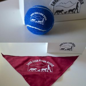 LSDR Ball and Bandana Set