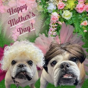 Post cards - Mothers Day Ed and Loretta