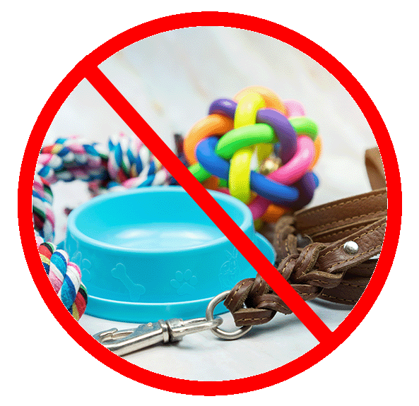 No Collars

No Leashes

No Bowls

No Toys

No Treats

No Beds

Please do not add your dog’s medicine to their food bags.